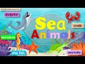 Sea Animals | Learn the different sea animals | Video of sea animals