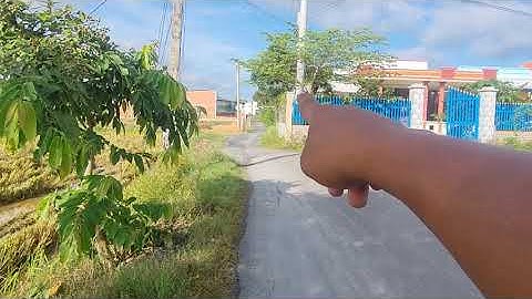 Bán đất thổ cư xã tân ân cần đước Long An.