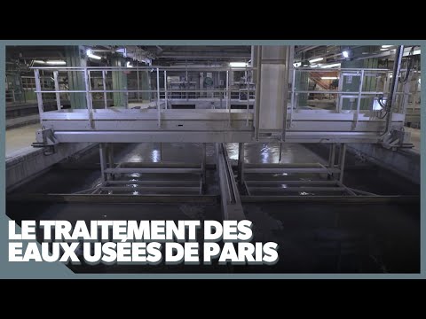 Le traitement des