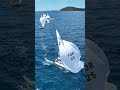 Day 6 | 2025 470 European Championship, Split CRO
