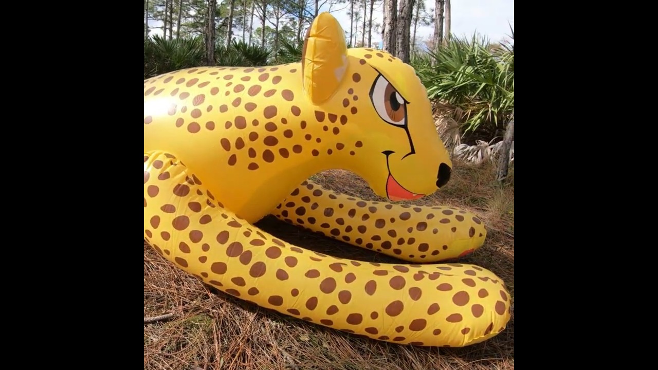 Life-Size Ride-On Pool Toy Cheetah from Inflatable World