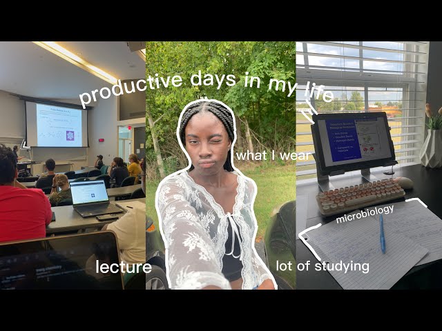 STUDY VLOG, VERY productive days in my life