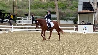 Third level test three day two Dressage Affaire
