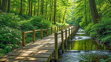 Beautiful Relaxing Music for the Heart and Blood Vessels 🍃 Great Healing Music for the Soul #2