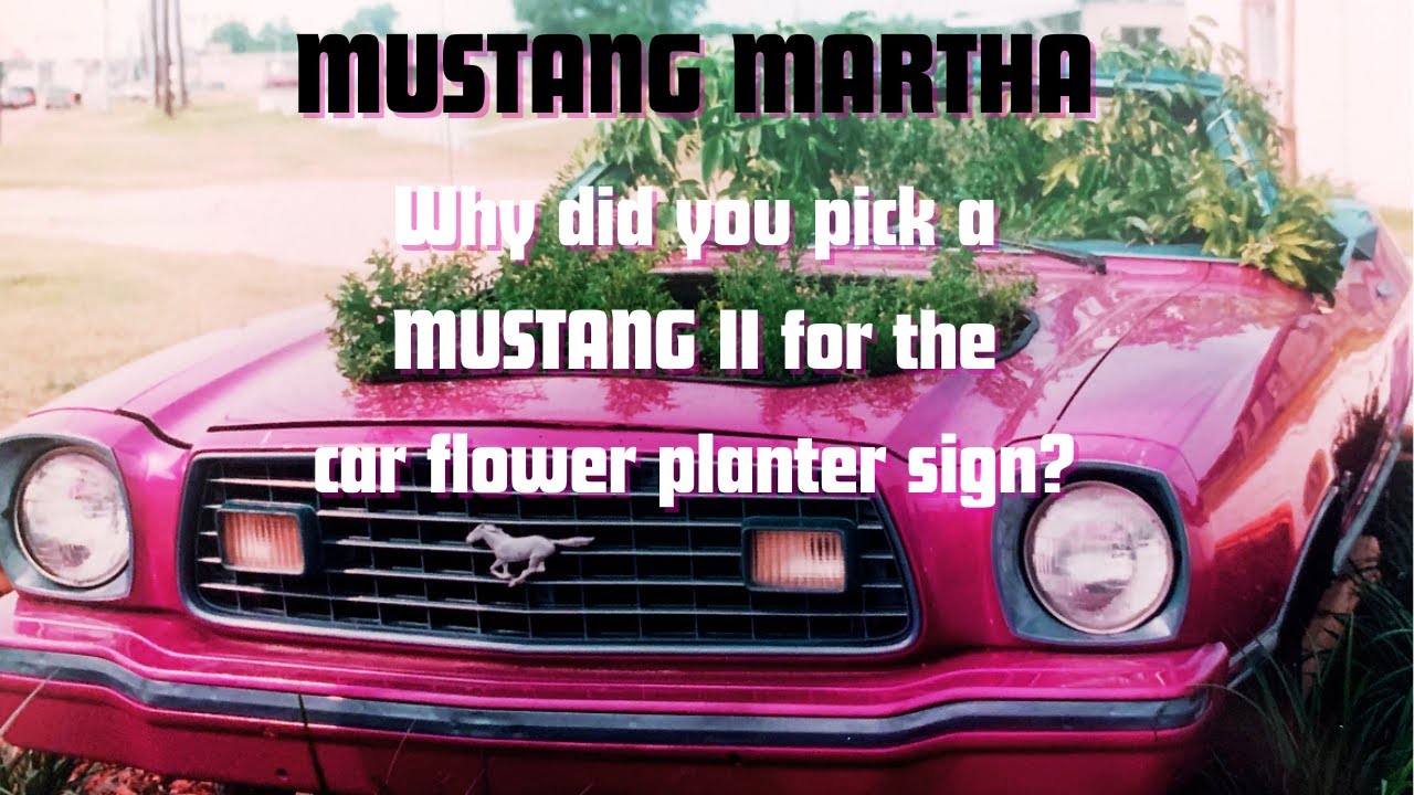 Mustang Martha Question: How/Why did you pick a Mustang II for your car-flower-planter sign?