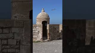 10 Must See Spots in Isola delle Femmine#shorts #Island of Women#Sicily to Live#Travel Through Italy