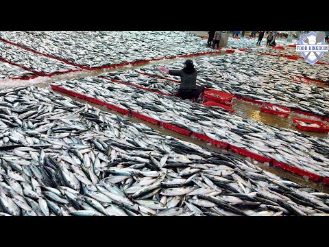 İnanılmaz! Kore'nin en büyük balık pazarı ve kemiksiz uskumru seri üretimi / Kore balık fabrikası