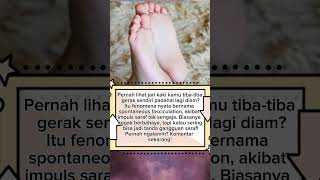 Kenapa Jari Kaki Bisa Gerak Sendiri?! 🦶😨