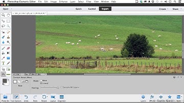 Photoshop Elements 12 Tutorial | Working With Content Aware Move