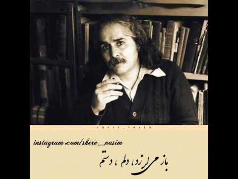 مهدی اخوان ثالث لحظه دیدار نزدیک است