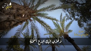 القرآن الكريم "ألّا تَحْزَني قَدْ جَعَلَ رَبُّكِ تَحتَكِ سَريّا" عبد الباسط عبد الصمد حالات واتساب