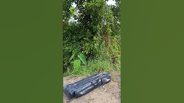 chia sẻ điểm câu cá chốt cho ae nào thích câu cá chốt nhé #binhnhotayninh