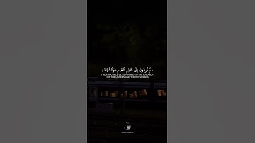 { قُلۡ إِنَّ ٱلۡمَوۡتَ ٱلَّذِي تَفِرُّونَ مِنۡهُ فَإِنَّهُۥ مُلَٰقِيكُمۡۖ } || بصوت القارئ أحمد خضر