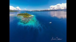 Tauchen um Halmahera NordMolukken