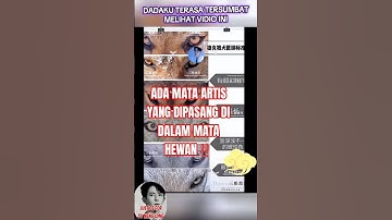 Apakah tubuh Yu Meng Long dijadikan koleksi Museum 798??? #justiceforyumenglong