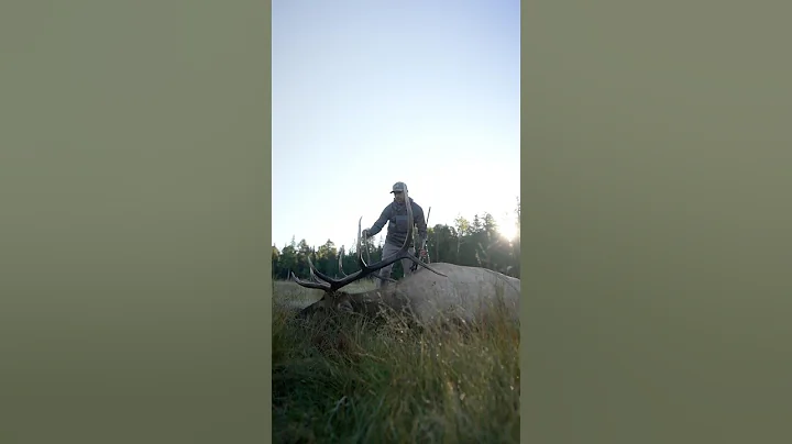 The Elk Capital Of The World