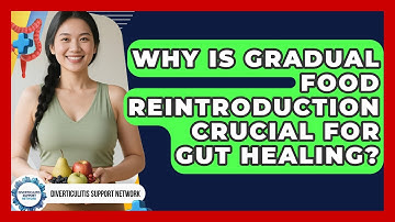 Why Is Gradual Food Reintroduction Crucial For Gut Healing? - Diverticulitis Support Network