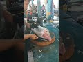 Sharp machete art!! Bang Fadil, once cut, the head falls off #fish #tuna #Fishing #fyp #viral