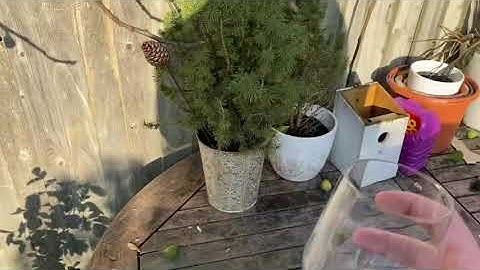 The Water Cycle Explained. Interception