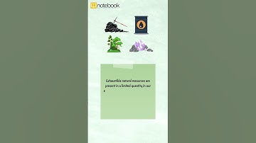 CBSE Class 8 Science | Understanding Coal and Petroleum | Fun Learning with Notebook