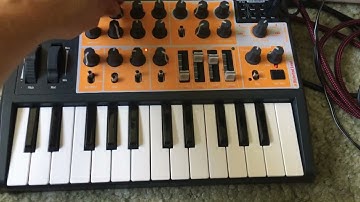 Arturia Microbrute demo