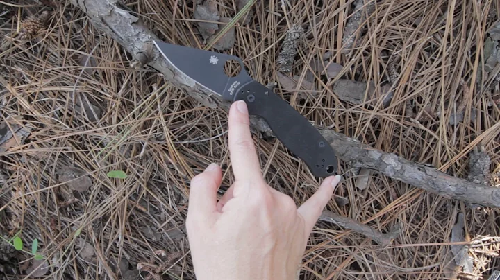 Spyderco C223GPBK PARA 3-Black Blade/BlackG-10 - video demo