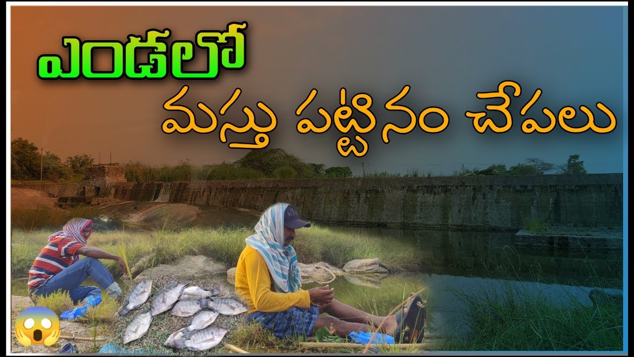 Best amazing tilapia fish catching telugu ganesh vlogger fishing 