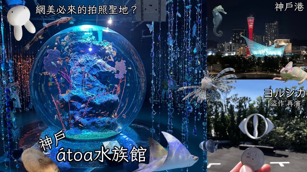[日本遊33] 名為水族館的藝術品—átoa｜目的是ヨルシカ的公演｜再訪神戶港區