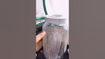 Kyle Thomas 💙 PET TOUR! 😱 20+ pets! #kylethomas #shorts