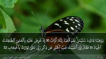 الصفحة 455 سورة ص بصوت القارئ المهندس أحمد فايز الحراسيس