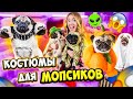 Примеряю КОСТЮМЫ Для СОБАК на МОПСИКОВ! ОЧЕНЬ РЖАЧНО! Одежда на Хэллоуин !