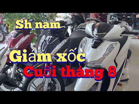 sh nam 2021 liên tiếp giảm mạnh cuối tháng 8/2021