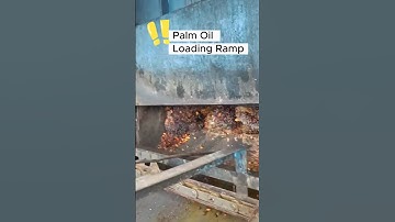 Overcoming Palm Fruit Blockages at Loading Ramp | Palm Oil Mill Process #palmoil