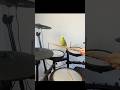 This guy went viral on TikTok playing the Cocktaiel Cookie song! #budgie #drummer #drumming #bird