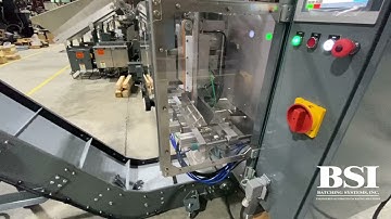 ⭐️ Meet the Bagmaster® C295! ⭐️ from Batching Systems, Inc.