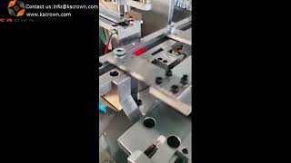 Fully Automatic O-ring Installation Machine WL-DQZP07L - Suzhou Crown