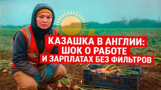 картинка: Казашка в Англии — работа, деньги и суровая реальность