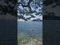 Beauty of nature #seashore #exploreindi #nature