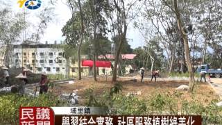 民議新聞 1040505 學習結合實務 社區服務進行植樹綠美化