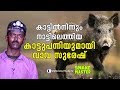 OMG! Vava Suresh with a wild boar that came out from the wild | Vava Suresh | Snakemaster