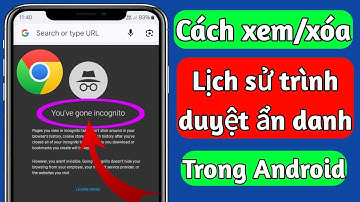 Cách Xem/Xóa Lịch sử Duyệt web Ẩn danh (Thành công 100%)