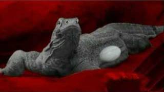 Komodo Dragon Birth