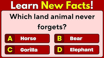 General Knowledge Quiz | Trivia Quiz | GK Facts | Education | Learning | Mixed Trivia | Pub Quiz