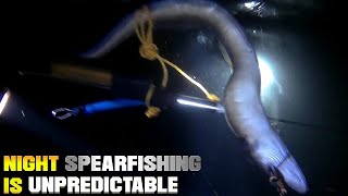 ANG PAMAMANA SA GABI AY TSAMBAHAN LANG! NIGHT SPEARFISHING