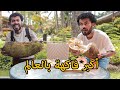 جربت أغرب الفواكه بالعالم - أوغندا Uganda 🫐 🇺🇬