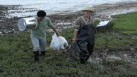 Sustainable grazing for peatlands restoration in C...