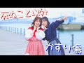 【踊ってみた】死ぬこと以外かすり傷 / コレサワ 【みこみかん】