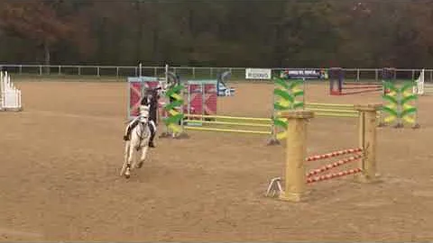 Benjamin Bunny - Show jumping
