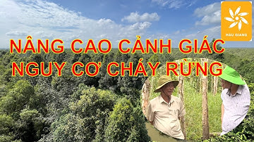 Nâng cao cảnh giác nguy cơ cháy rừng II Nông nghiệp Hậu Giang