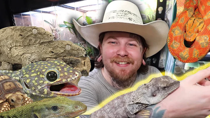 Brand New $20,000 Reptile Room [Reptile Room Tour 2025]